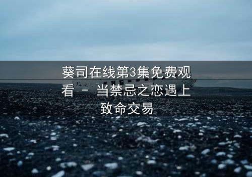 葵司在线第3集免费观看 - 当禁忌之恋遇上致命交易
