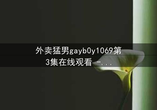 外卖猛男gayb0y1069第3集在线观看 - 当外卖箱藏不住秘密,一场禁忌之恋悄然开启