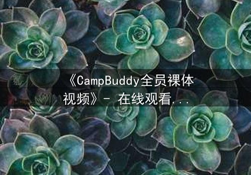 《CampBuddy全员裸体视频》- 在线观看 - 秘密曝光后的情感风暴