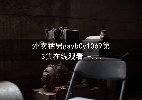 外卖猛男gayb0y1069第3集在线观看 - 当外卖订单揭开禁忌之恋的序幕
