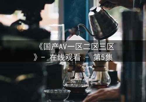 《国产AV一区二区三区》- 在线观看 - 第5集