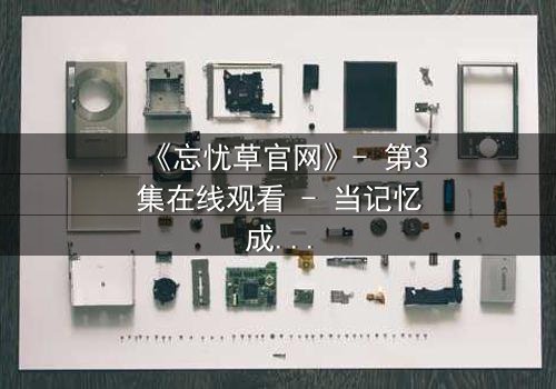 《忘忧草官网》- 第3集在线观看 - 当记忆成为最危险的武器