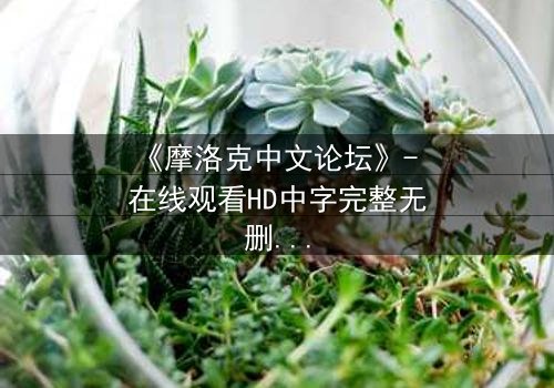 《摩洛克中文论坛》- 在线观看HD中字完整无删 - 当虚拟身份撕裂现实人生
