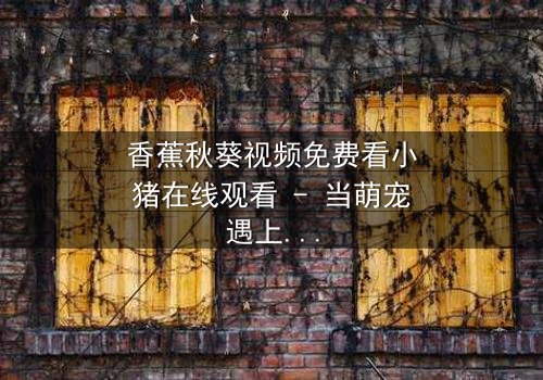 香蕉秋葵视频免费看小猪在线观看 - 当萌宠遇上神秘代码,一场颠覆认知的冒险即将上演!