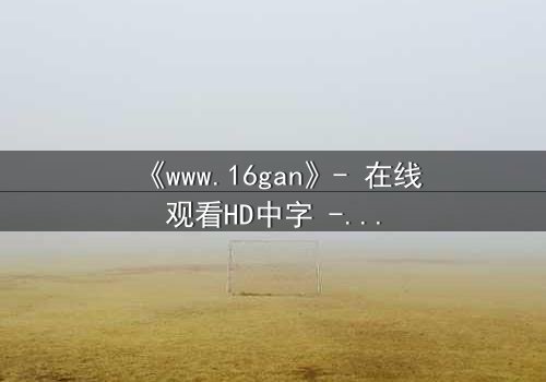《www.16gan》- 在线观看HD中字 - 揭开数字迷宫的致命诱惑