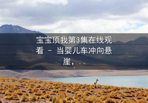 宝宝顶我第3集在线观看 - 当婴儿车冲向悬崖,他该如何选择?