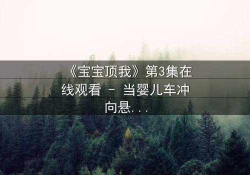《宝宝顶我》第3集在线观看 - 当婴儿车冲向悬崖,他如何用爱化解生死危机?