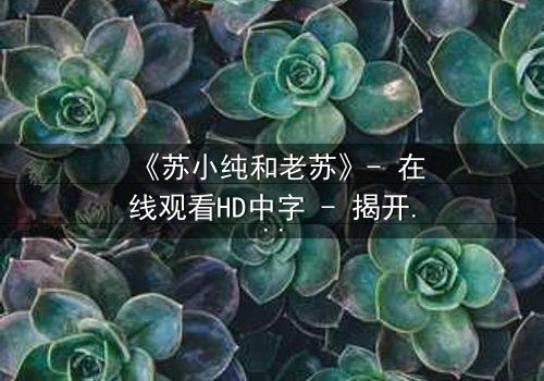 《苏小纯和老苏》- 在线观看HD中字 - 揭开父女情仇的惊天秘密