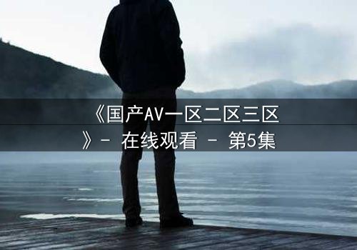 《国产AV一区二区三区》- 在线观看 - 第5集