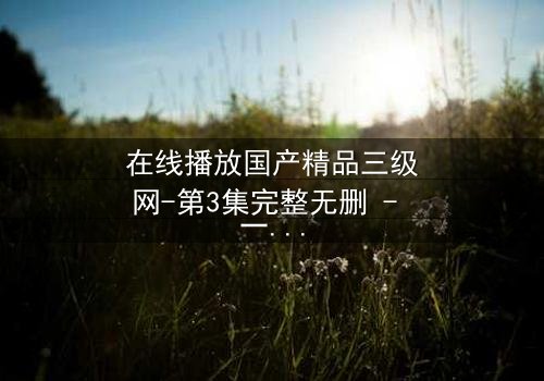 在线播放国产精品三级网-第3集完整无删 - 一场禁忌之恋的致命诱惑