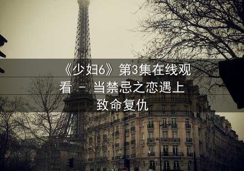 《少妇6》第3集在线观看 - 当禁忌之恋遇上致命复仇